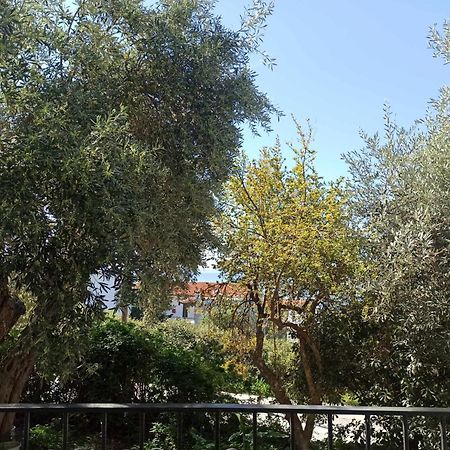 Greekowl apartments Skiathos-stad Buitenkant foto