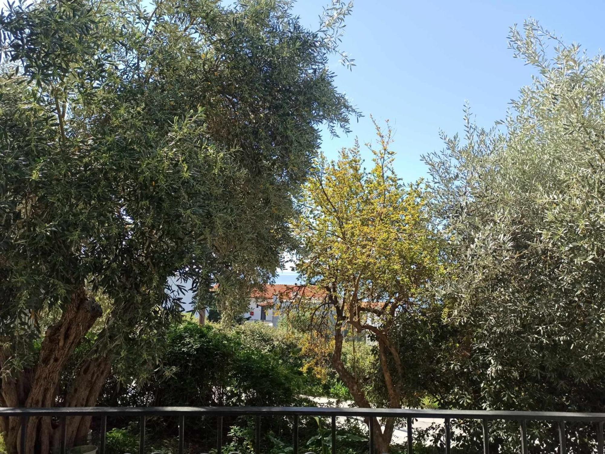Greekowl apartments Skiathos-stad Buitenkant foto