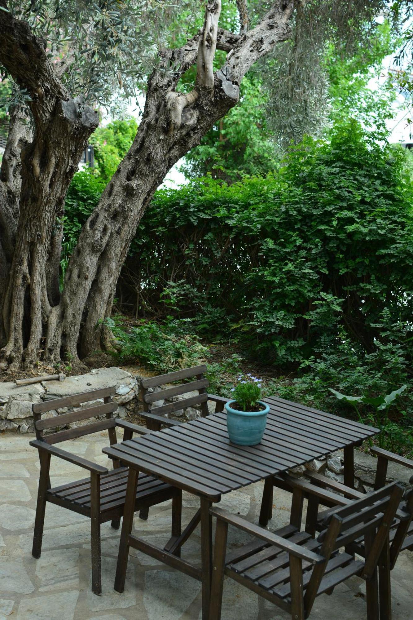Greekowl apartments Skiathos-stad Buitenkant foto