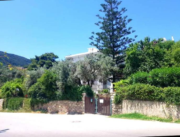 Greekowl apartments Skiathos-stad Kamer foto